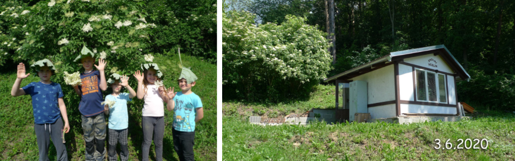 Setkání na včelíně