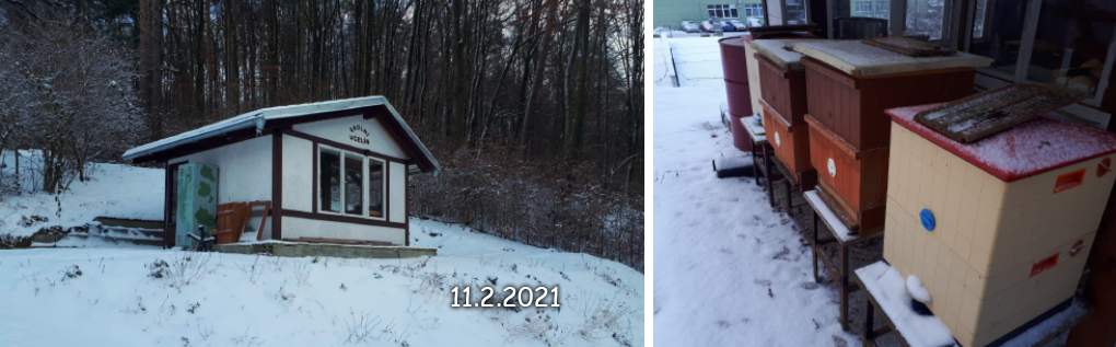 Včelín v zimě