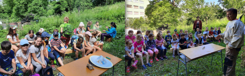 Exkurze do včelína