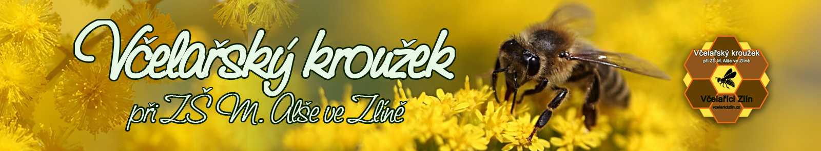 Včelařský kroužek při ZŠ M. Alše ve Zlíně
