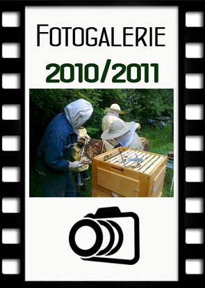 Fotogalerie 2010-11