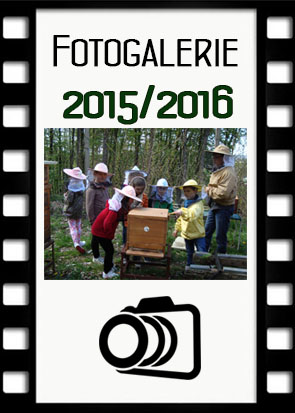 Fotogalerie 2015-16