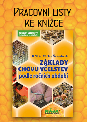 Václav Štramberský