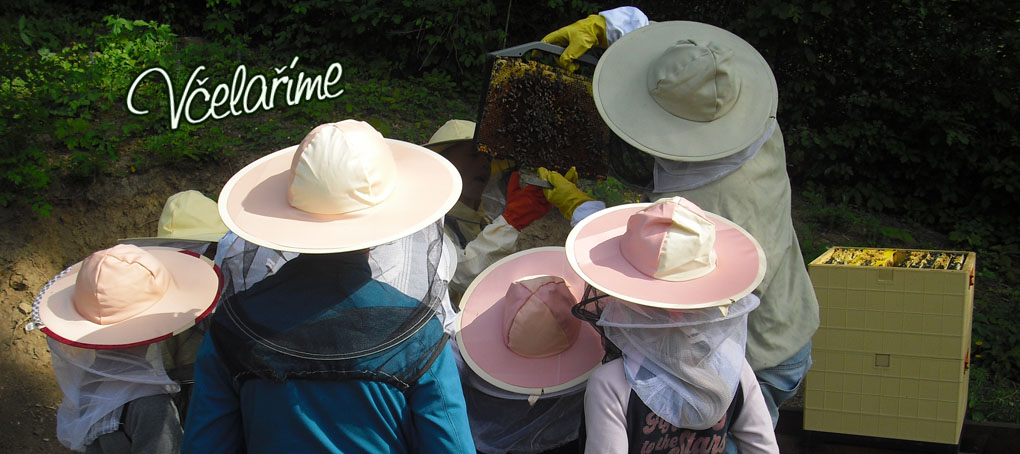 Včelařský kroužek - prezentace 2