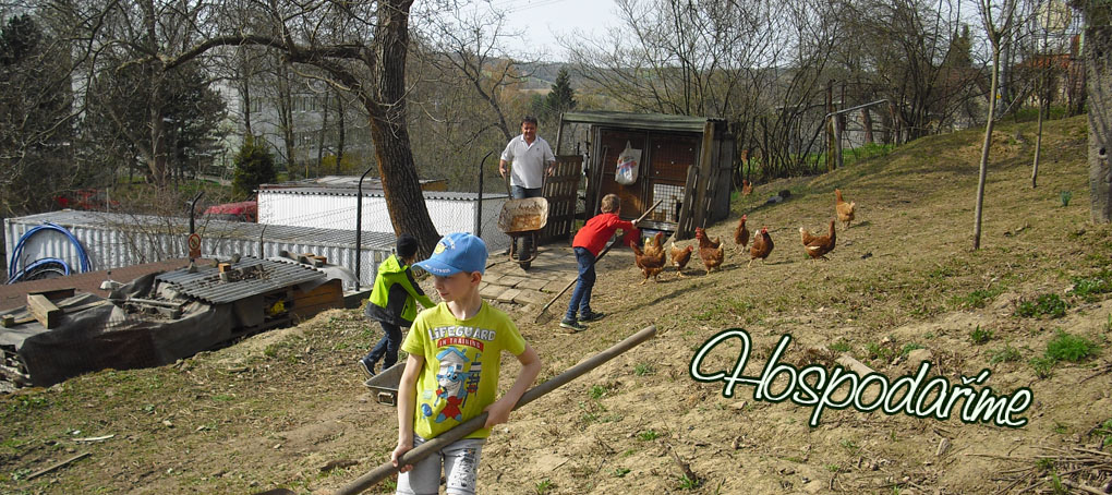 Včelařský kroužek - prezentace 3