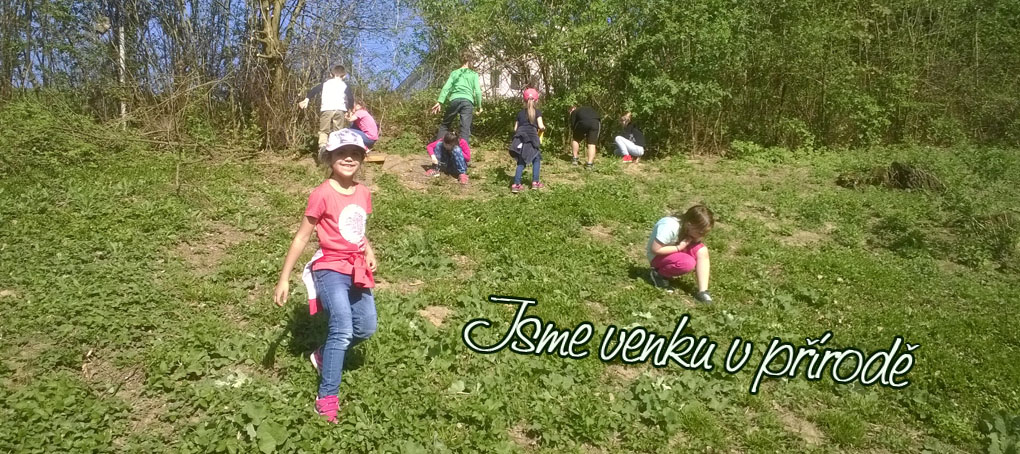 Včelařský kroužek - prezentace 5