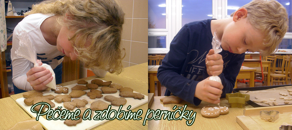 Včelařský kroužek - prezentace 10