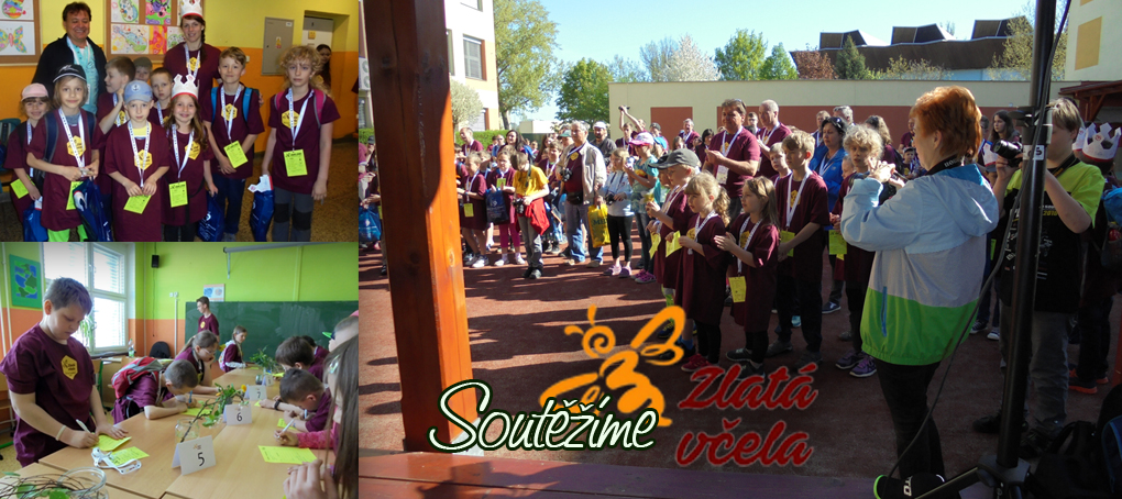 Včelařský kroužek - prezentace 12