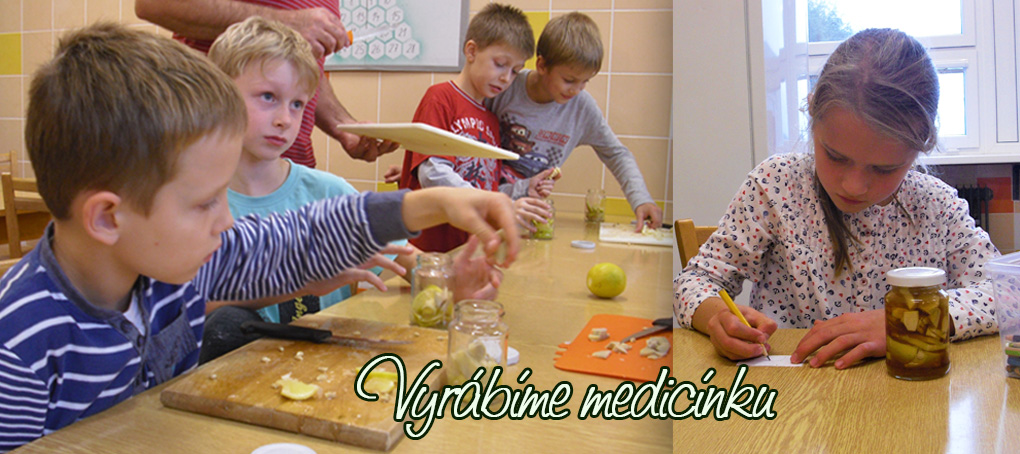 Včelařský kroužek - prezentace 13