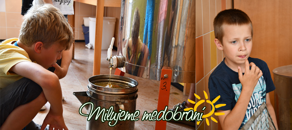 Včelařský kroužek - prezentace 15